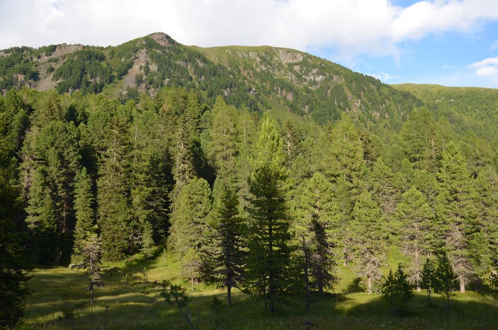 Ferienhaus Ferch Turracher Hohe Εξωτερικό φωτογραφία